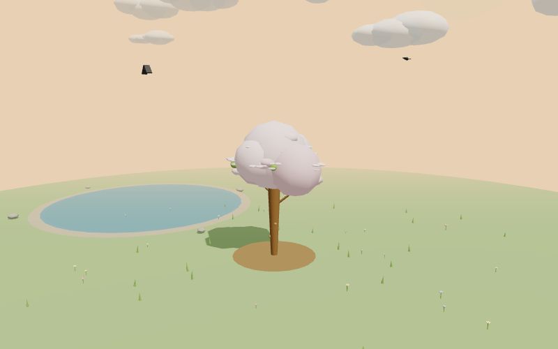 Apple tree with a pond